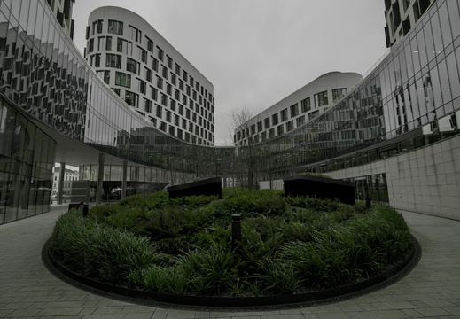 Bruxelles janvier 2026